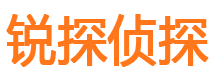 平陆锐探私家侦探公司